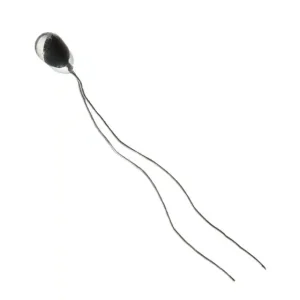Honeywell Temp Sensing